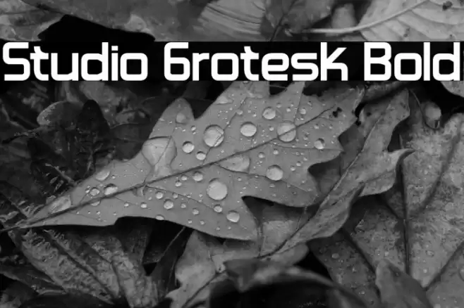 Studio Grotesk Bold Font examples