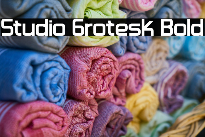 Studio Grotesk Bold Example 3