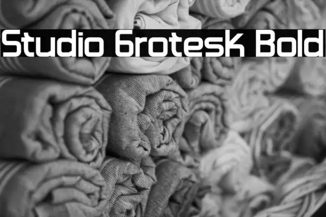 Studio Grotesk Bold Font examples