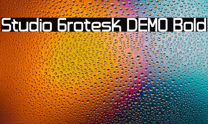 Studio Grotesk DEMO Bold Example 1