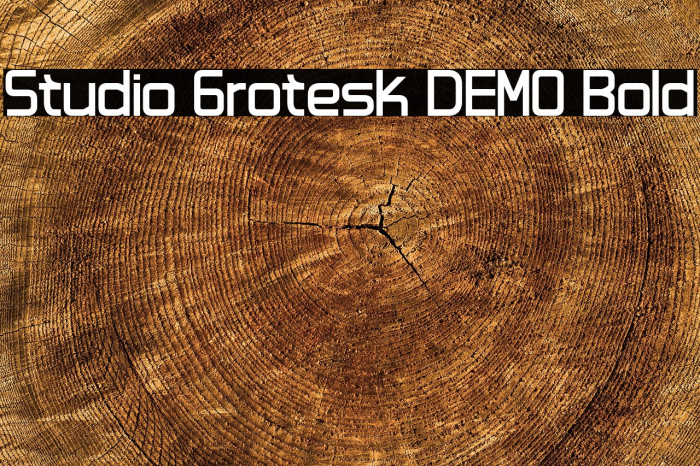 Studio Grotesk DEMO Bold Example 3