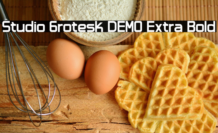 Studio Grotesk DEMO Extra Bold Example 1