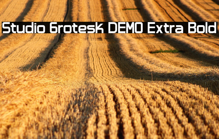 Studio Grotesk DEMO Extra Bold Example 2