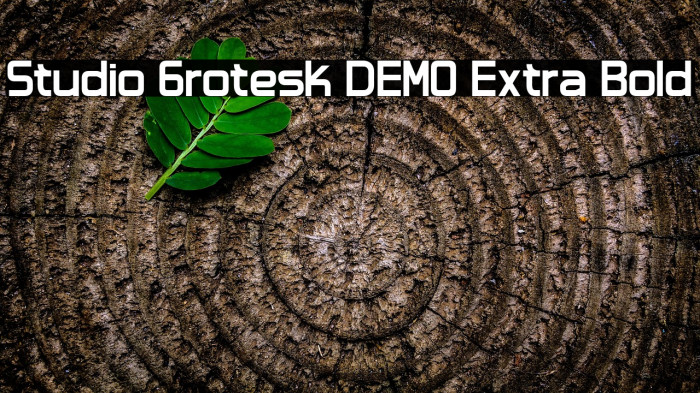 Studio Grotesk DEMO Extra Bold Example 3