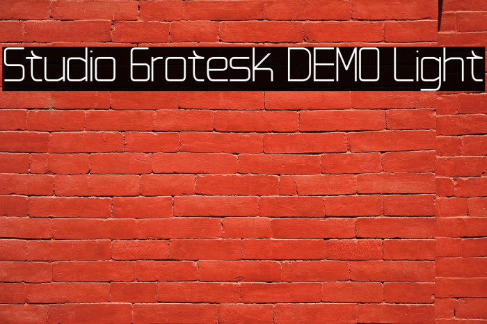 Studio Grotesk DEMO Light Example 2