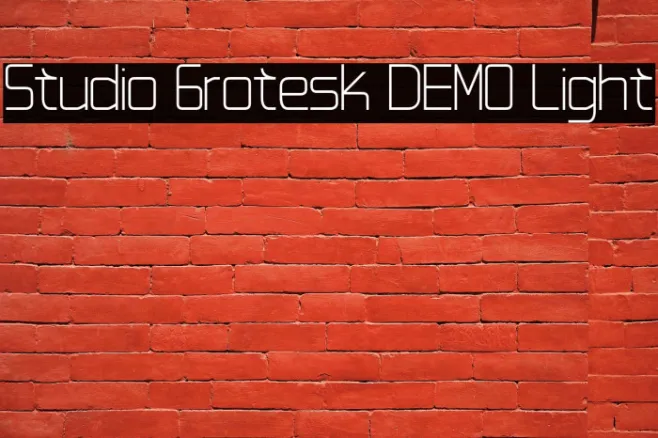 Studio Grotesk DEMO Light Example 2