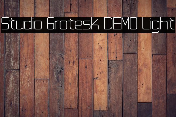 Studio Grotesk DEMO Light Example 3