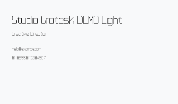 Studio Grotesk DEMO Light Business Card