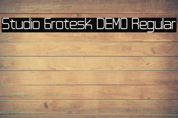 Studio Grotesk DEMO Regular Example 1