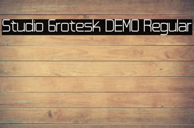 Studio Grotesk DEMO Regular Example 1