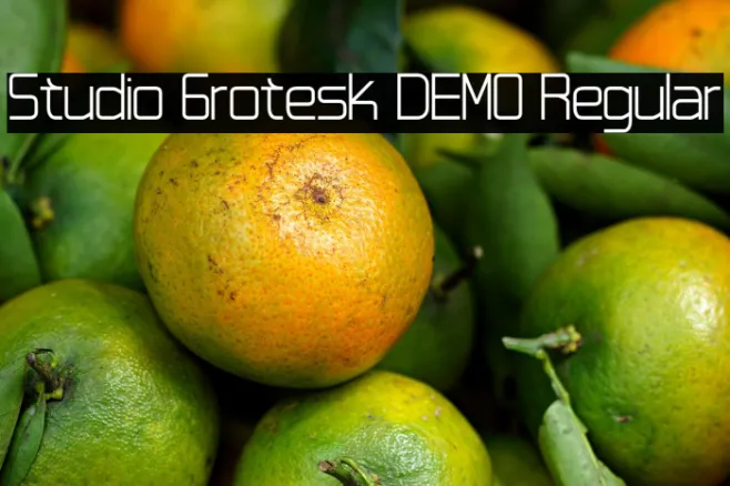 Studio Grotesk DEMO Regular Example 2