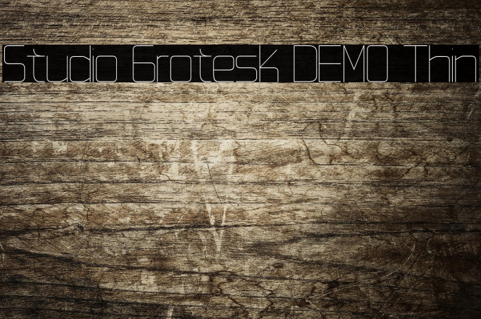 Studio Grotesk DEMO Thin Example 2