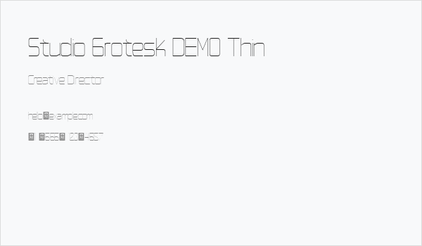 Studio Grotesk DEMO Thin Business Card