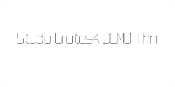 Studio Grotesk DEMO Thin Logo