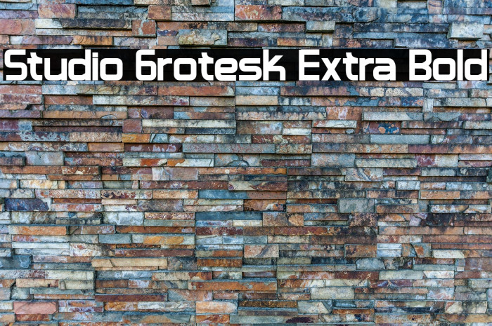 Studio Grotesk Extra Bold Example 1