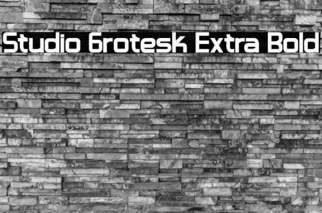 Studio Grotesk Extra Bold Font examples