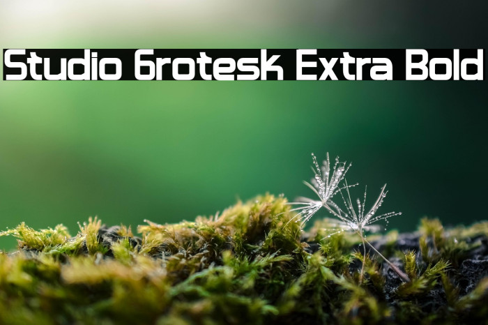 Studio Grotesk Extra Bold Example 2