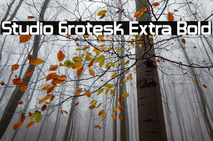 Studio Grotesk Extra Bold Example 3