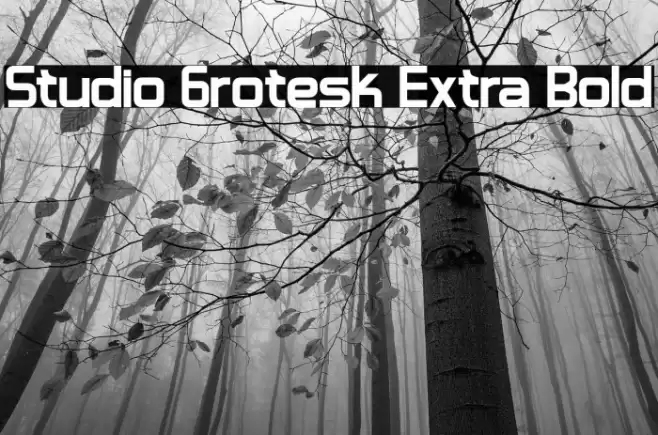 Studio Grotesk Extra Bold Font examples