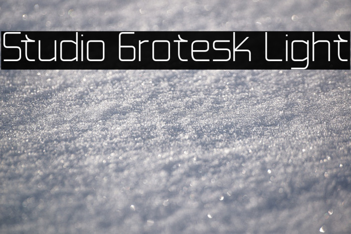 Studio Grotesk Light Example 2