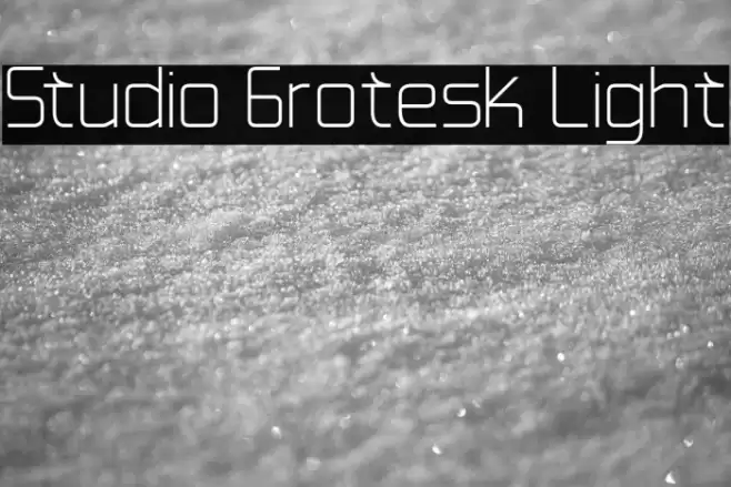 Studio Grotesk Light Font examples