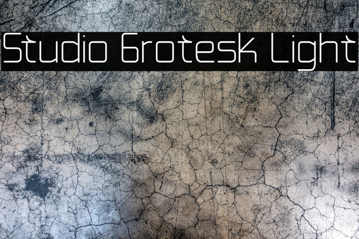 Studio Grotesk Light Example 3
