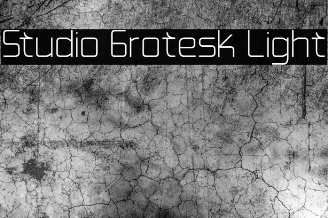 Studio Grotesk Light Font examples