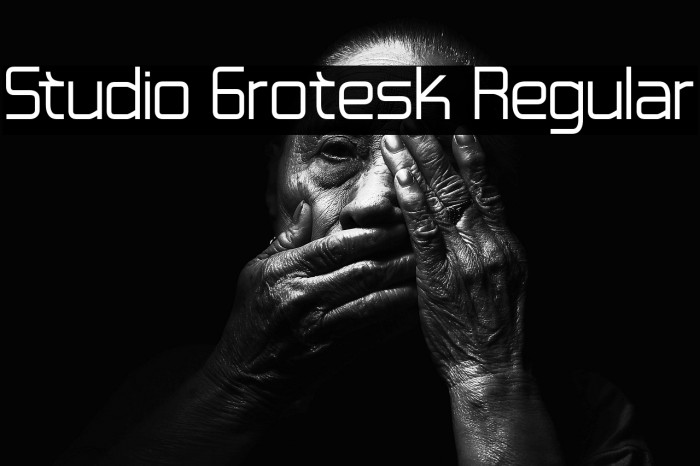 Studio Grotesk Regular Example 1