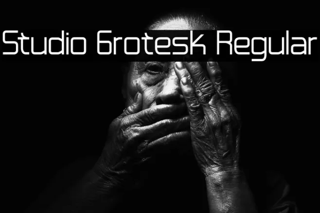 Studio Grotesk Regular Example 1