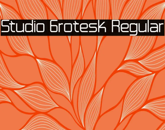 Studio Grotesk Regular Example 2
