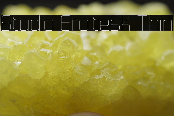 Studio Grotesk Thin Example 2