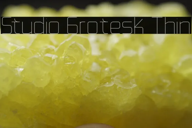 Studio Grotesk Thin Example 2