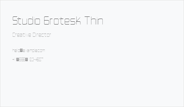 Studio Grotesk Thin Business Card