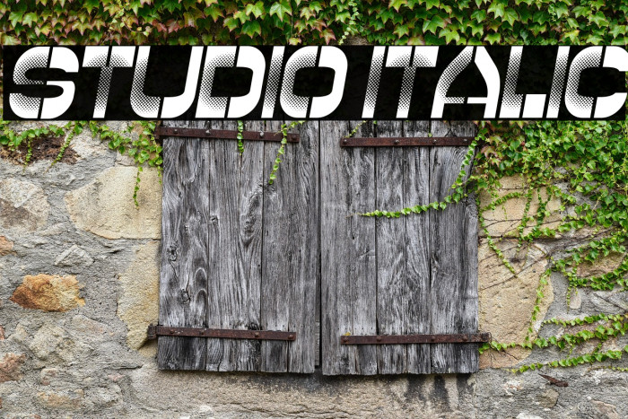 Studio Italic Example 3