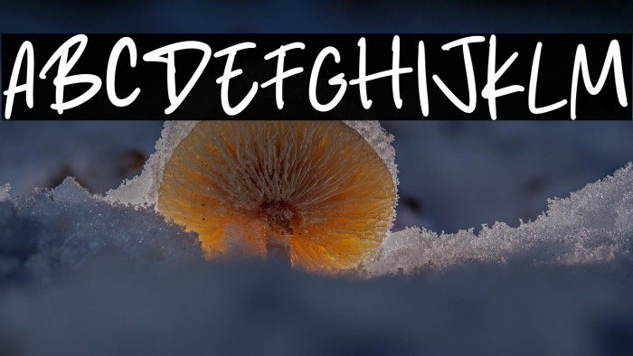 Studio Place Example 1