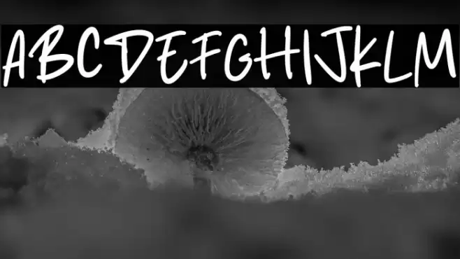 Studio Place Font examples