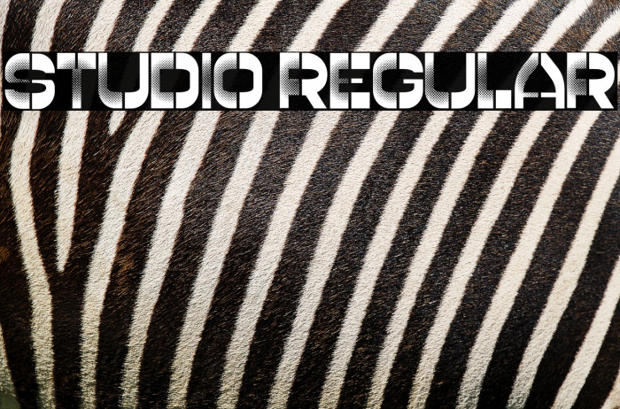 Studio Regular Example 2