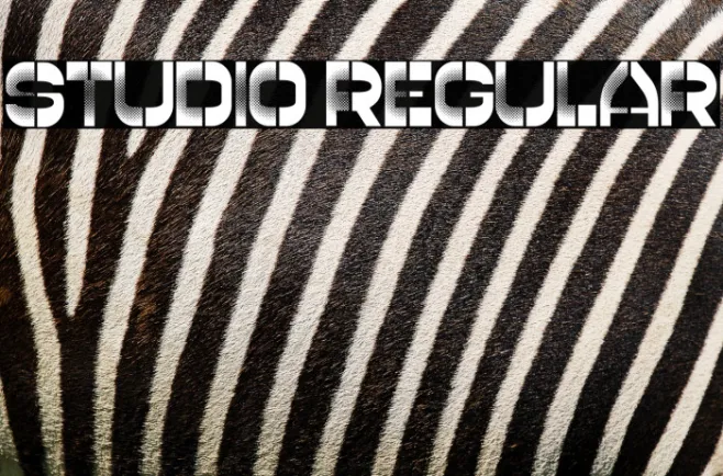 Studio Regular Example 2