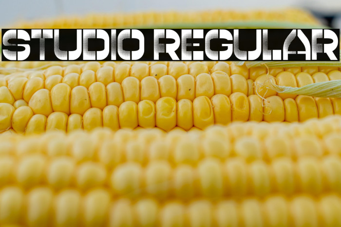 Studio Regular Example 3