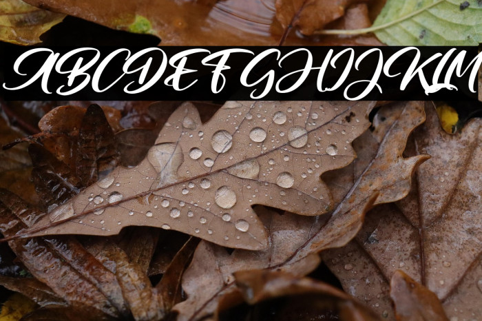 StudioAshtralFREE Example 2