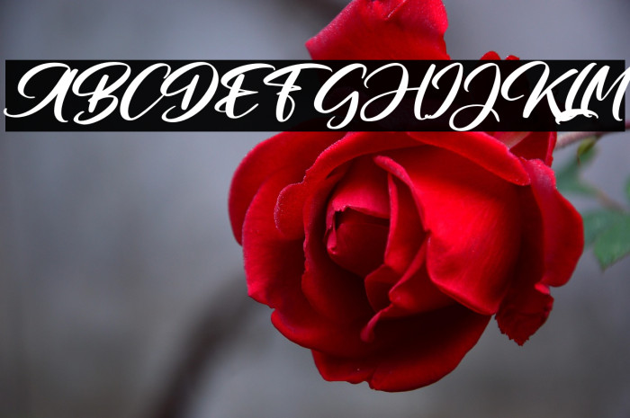 StudioAshtralFREE Example 3