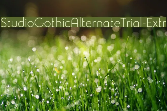 StudioGothicAlternateTrial-Extr Example 2