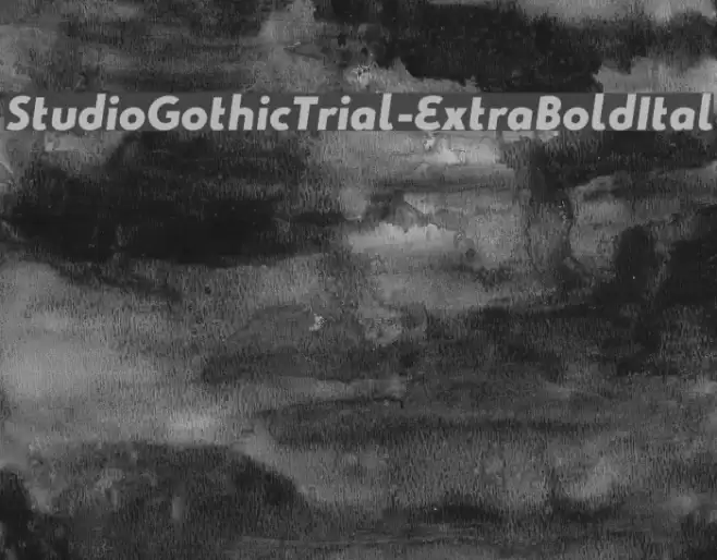 StudioGothicTrial-ExtraBoldItal Font examples