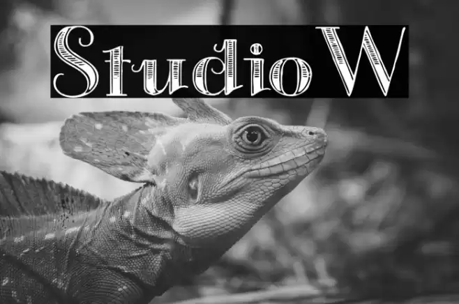 StudioW Font examples