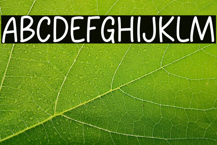 Study Alone Example 1