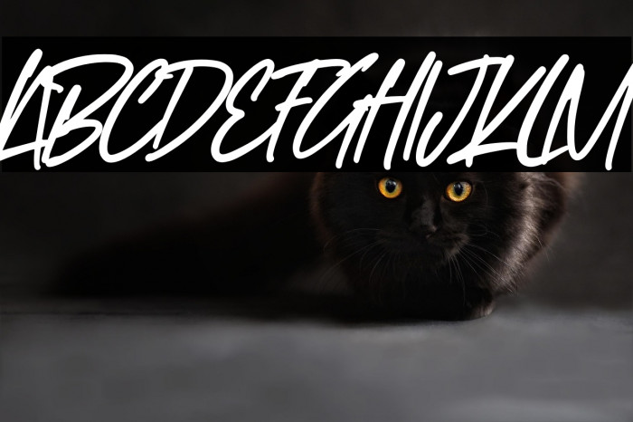 Study Hard Example 1