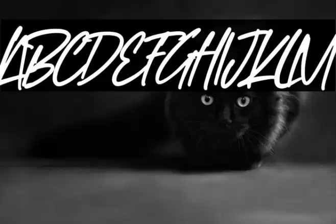 Study Hard Font examples