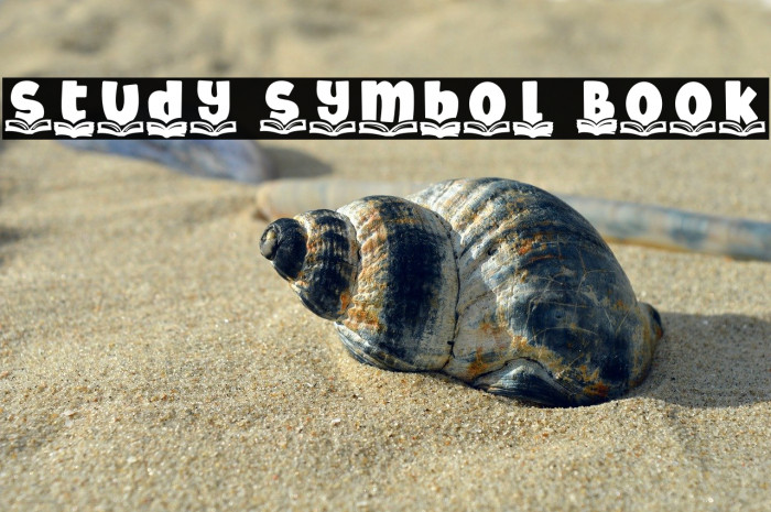 Study Symbol Book Example 2