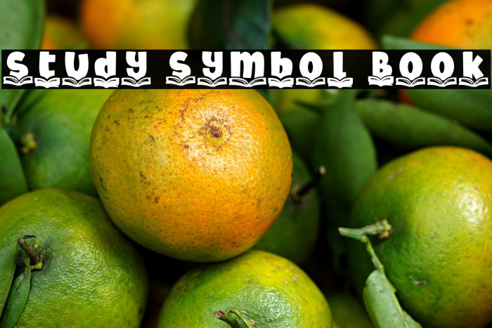 Study Symbol Book Example 3