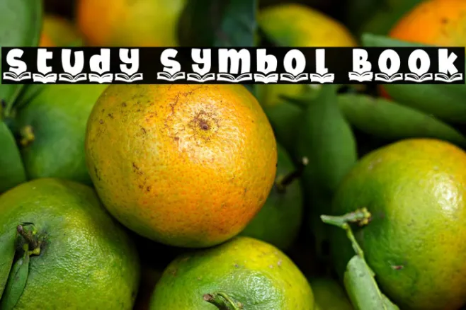 Study Symbol Book Example 3